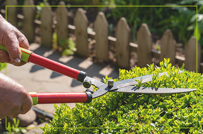 Trimming the garden area: