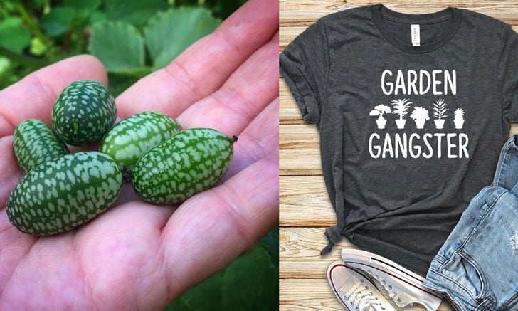 Unusual Gifts For Gardeners